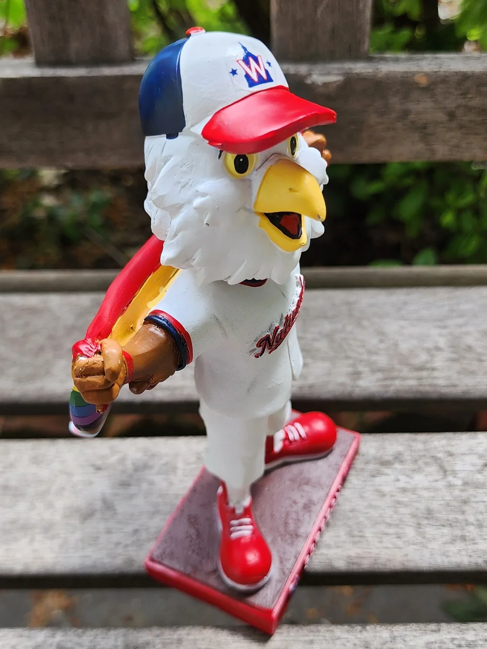 Washington Nationals Screech Mascot. Pride Cape. 2023 Night OUT.